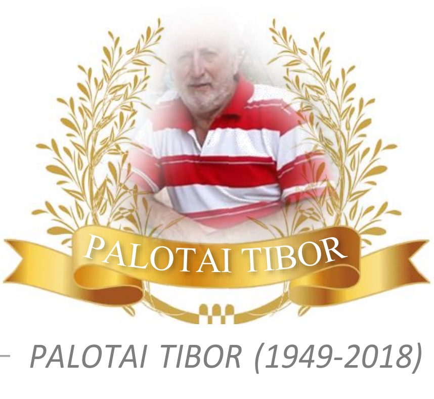 4. Palotai Tibor Emlékverseny